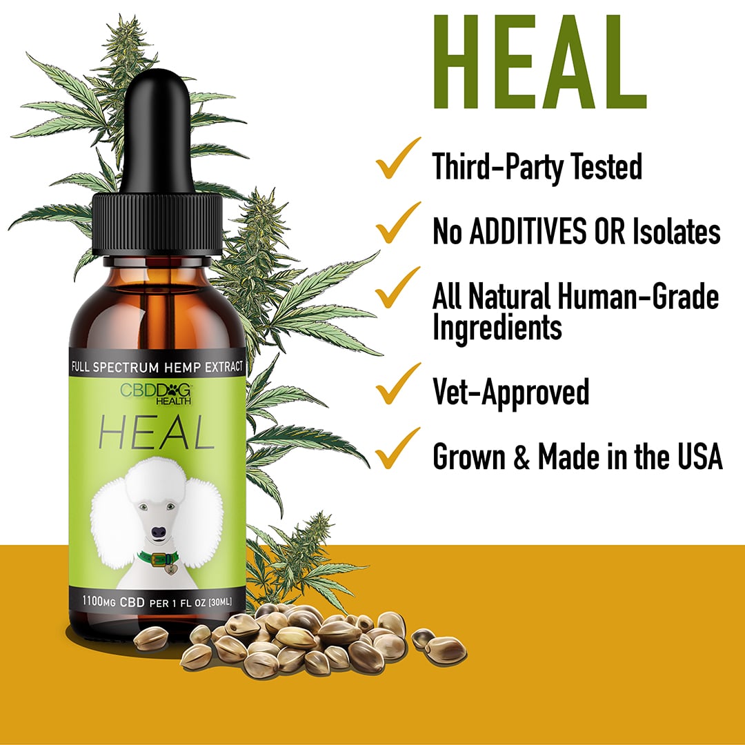 CBD Dog HEAL: Immune & Inflammatory Balance for Dogs