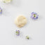 Taki Freeze Dried Hokkaido Scallop 6ct