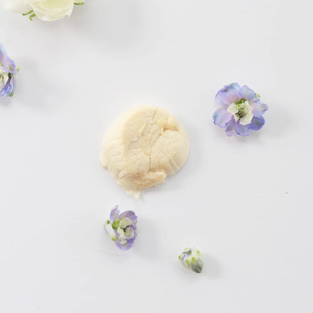 Taki Freeze Dried Hokkaido Scallop 6ct