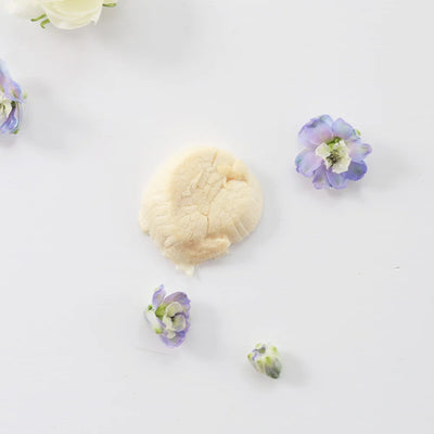 Taki Freeze Dried Hokkaido Scallop 6ct
