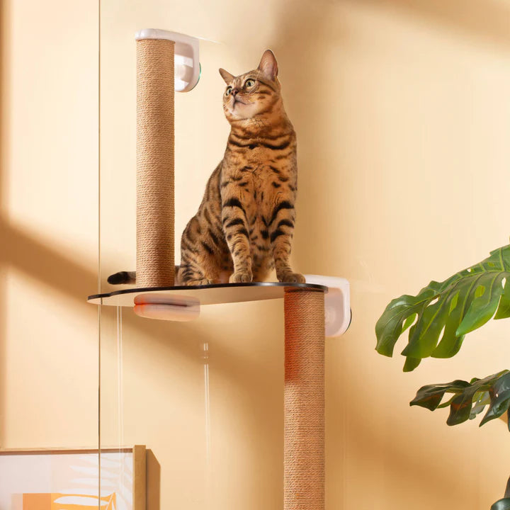 Michu Mounted Window Cat Tree With Scratchpost