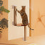 Michu Mounted Window Cat Tree With Scratchpost