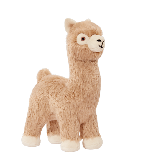 Inca Alpaca