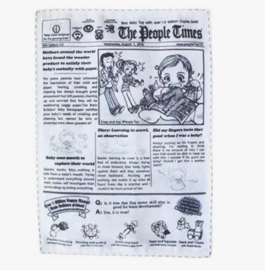 Squeaky Newspaper Dog Toy